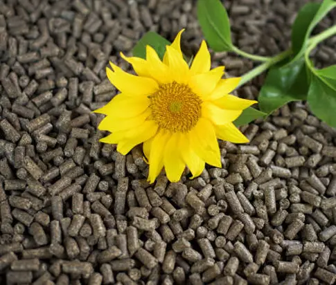 sunflower-pellets