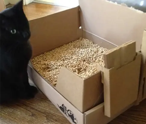 cat-litter
